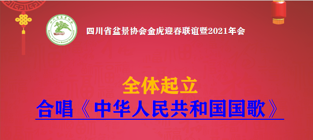 四川省省盆景协会举行金虎迎春联谊暨2021年会(图3)