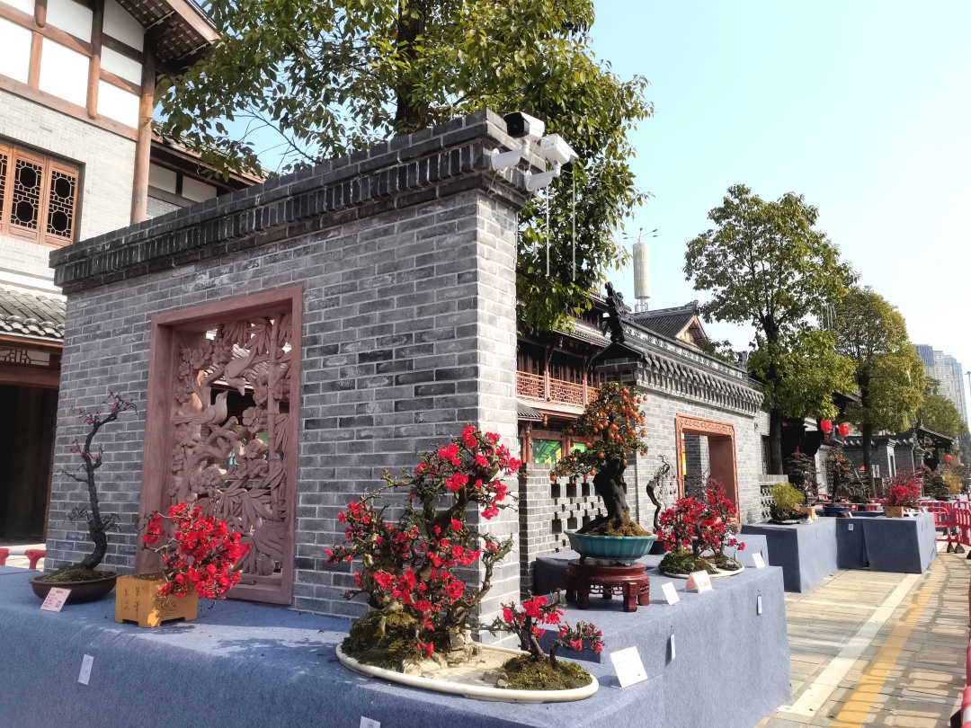 欢庆元宵节中第五届四川传统文化艺术节崇州唐人街迎新春民俗活动圆满落幕(图27)