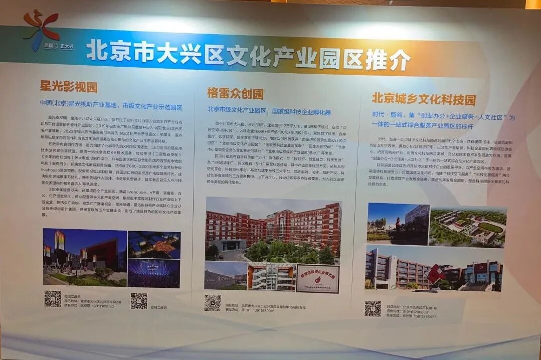 携手协同发展   共襄产业盛会   2025北京大兴文化产业推介会隆重举行(图6)