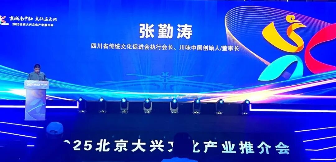 携手协同发展   共襄产业盛会   2025北京大兴文化产业推介会隆重举行(图5)
