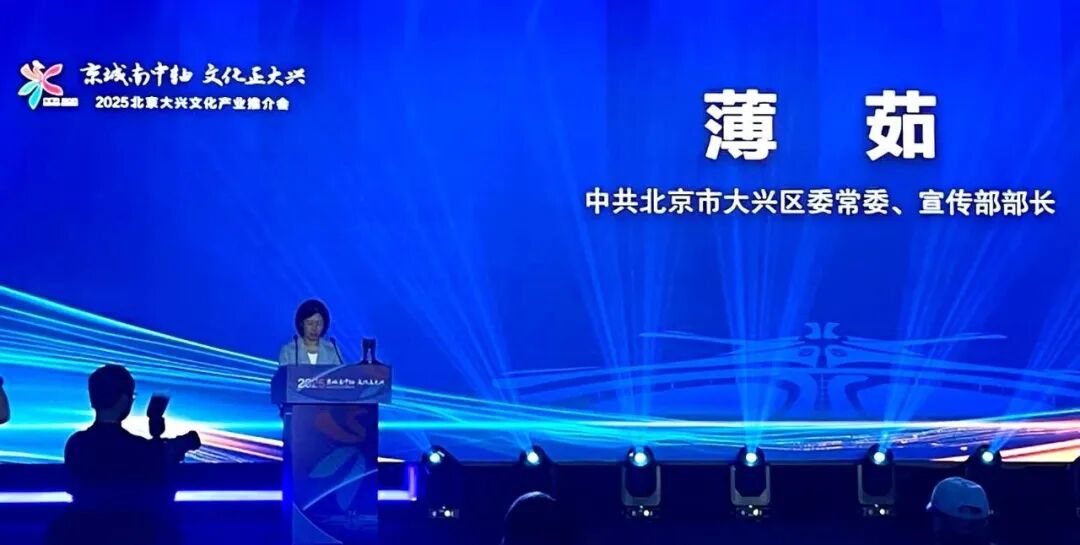 携手协同发展   共襄产业盛会   2025北京大兴文化产业推介会隆重举行(图3)